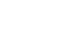 Zintz Logo